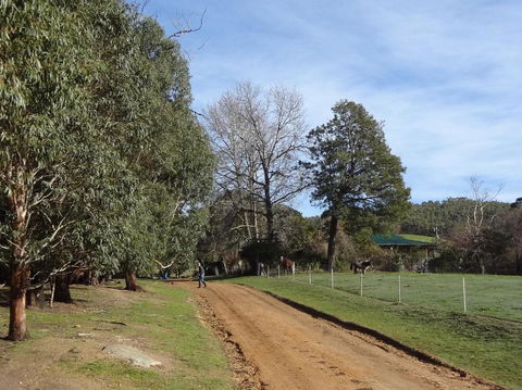 Hawksview At Mafeking - Australian Directory 1