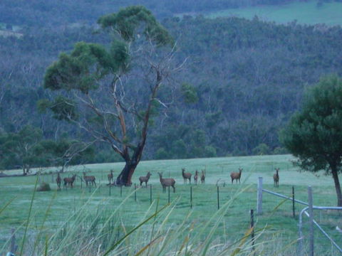 Hawksview At Mafeking - Australian Directory 3