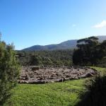 Hawksview At Mafeking - Australian Directory 0