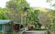 Mt Warning Rainforest Park - thumb 2