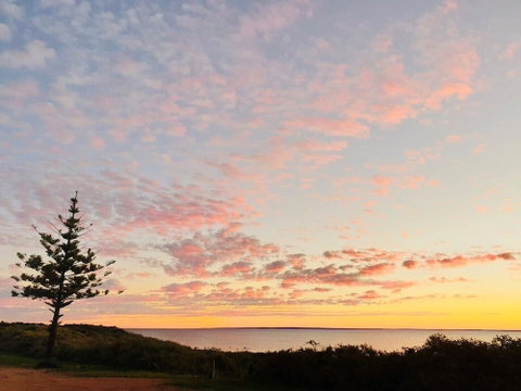 Highway One Ceduna - Australian Directory 0