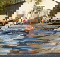 Riverside Cabin Park - Australian Directory
