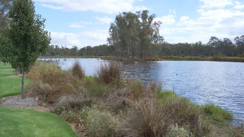 Maude St. Apartments - Australian Directory 1