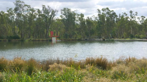 Maude St. Apartments - Australian Directory 6