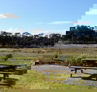 Pelican Point Sanctuary - Australian Directory