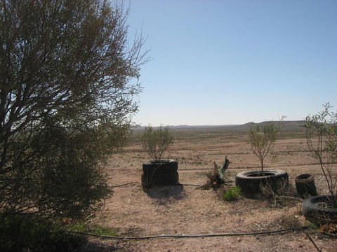 Venushill B+B - Australian Directory 6