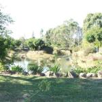 Still Waters - Australian Directory 0