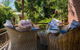Celestial Dew Of Tyalgum Guest House - thumb 7