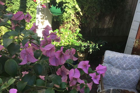 Swan Inn Bed & Breakfast - Australian Directory 6