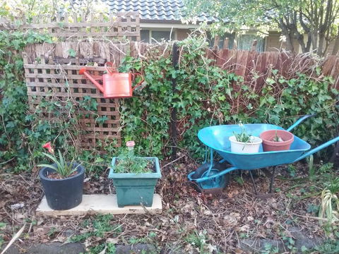 Kismet B & B - Australian Directory 4