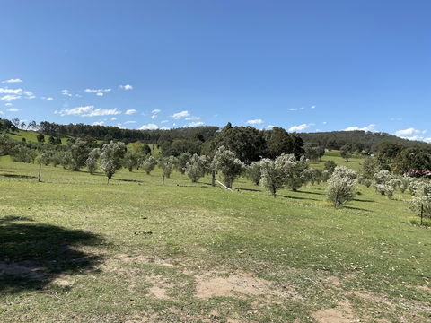 Hunter Homestead - Australian Directory 0