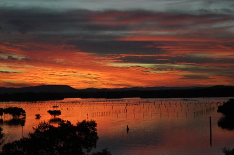 CHILL OUT LAKESIDE At FORSTER - Australian Directory 6