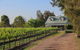 Emmas Cottage Vineyard - thumb 0