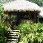 Mango Tourist Hostel - Australian Directory 0