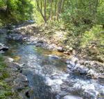 Tallaringa Views - Australian Directory
