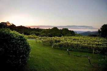 Flame Hill Vineyard - Australian Directory 6