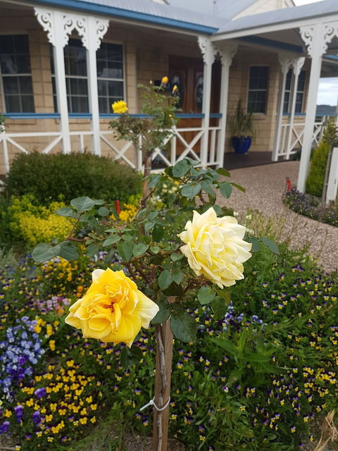 Grovely House Bed & Breakfast - Australian Directory 3