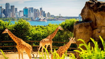 Tourism Listing Partner Attractions