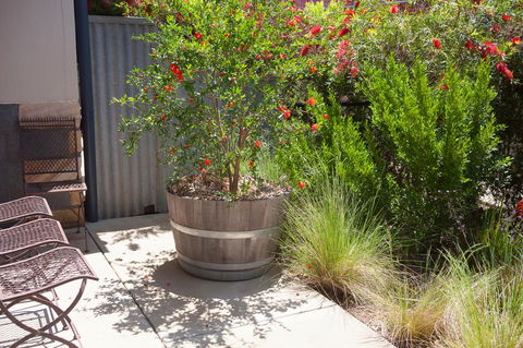 One Of A Kind Apartments - Australian Directory 15