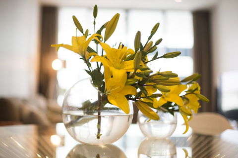 KUI - Manhattan Apartments - Australian Directory 0