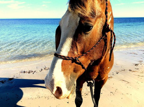 Lure Bed And Breakfast - Australian Directory 15