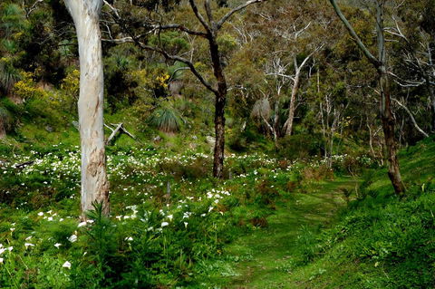 Lure Bed And Breakfast - Australian Directory 17