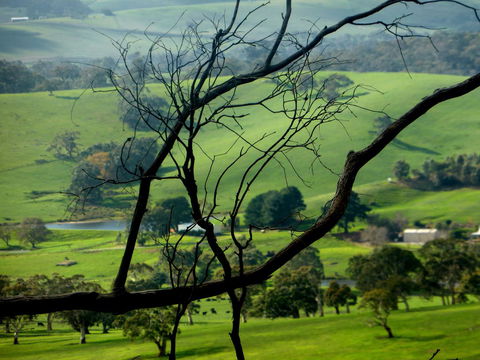 Lure Bed And Breakfast - Australian Directory 21