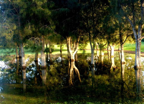 Lure Bed And Breakfast - Australian Directory 18