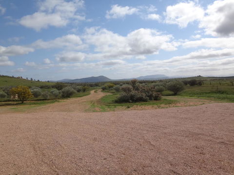 Windana Cottages - Australian Directory 37