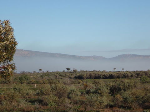 Windana Cottages - Australian Directory 44
