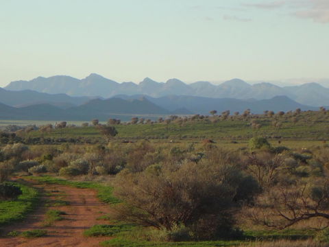 Windana Cottages - Australian Directory 41