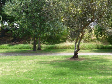 Victor Harbor Holiday Park - Australian Directory 24