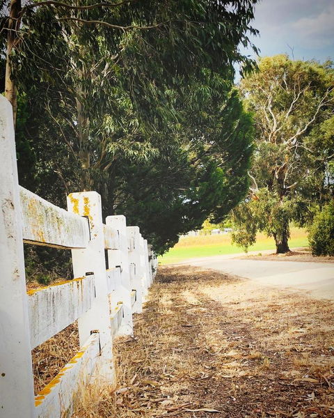 The Lake House Retreat - Australian Directory 28