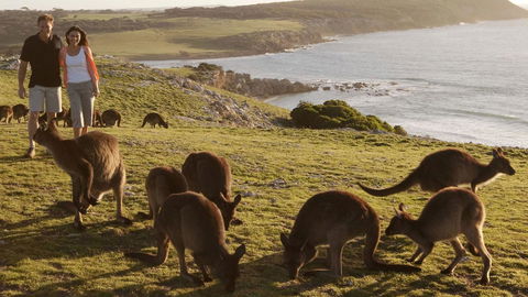 Kangaroo Island Seafront - Australian Directory 13