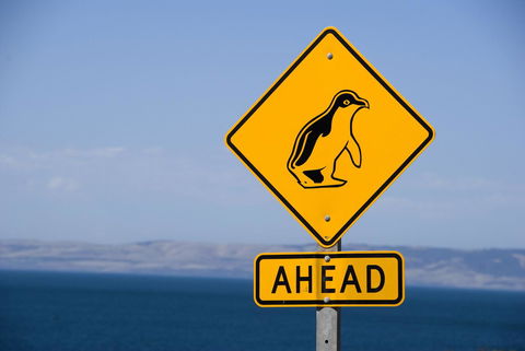 Kangaroo Island Seafront - Australian Directory 43
