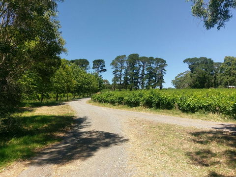 Lost In The Vines - Australian Directory 28