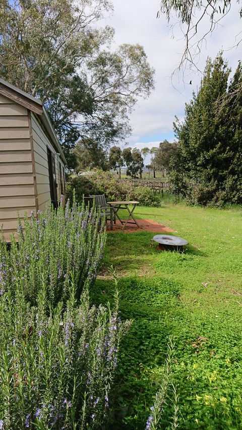 Lost In The Vines - Australian Directory 22