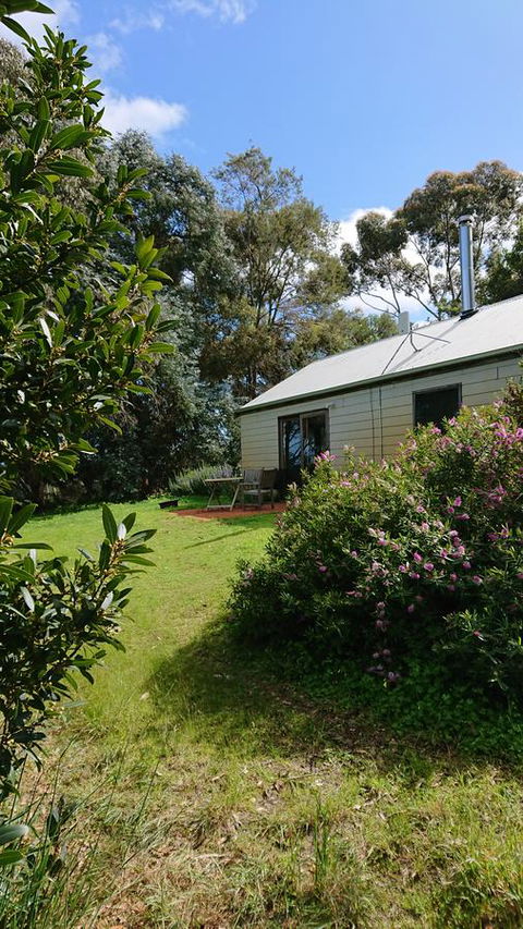 Lost In The Vines - Australian Directory 26