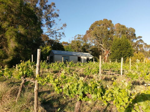 Lost In The Vines - Australian Directory 25