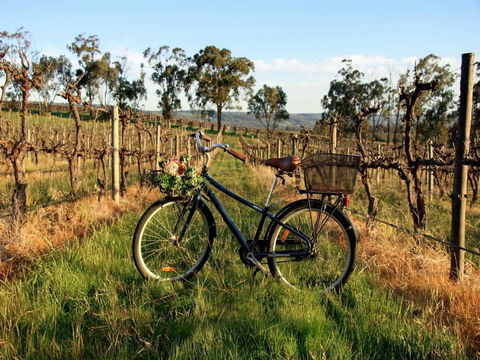 Lost In The Vines - Australian Directory 17