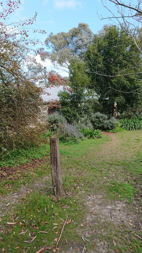Lost In The Vines - Australian Directory 21