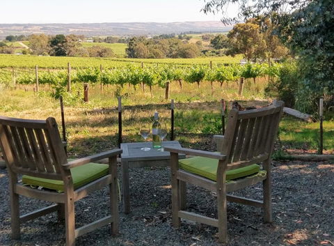 Lost In The Vines - Australian Directory 23