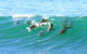 Mollymook Beach Waterfront - thumb 4