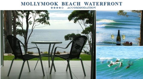 Mollymook Beach Waterfront - Australian Directory 1