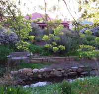 Frog Song at Willunga - Australian Directory