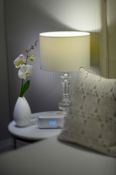 Mayfair Hotel - Australian Directory 13