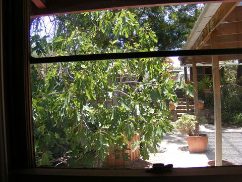 Trevalia Accommodation - Australian Directory 4
