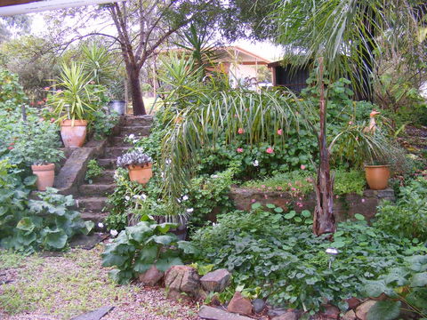 Trevalia Accommodation - Australian Directory 12