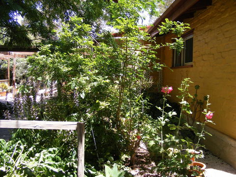 Trevalia Accommodation - Australian Directory 7