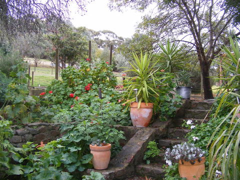 Trevalia Accommodation - Australian Directory 13